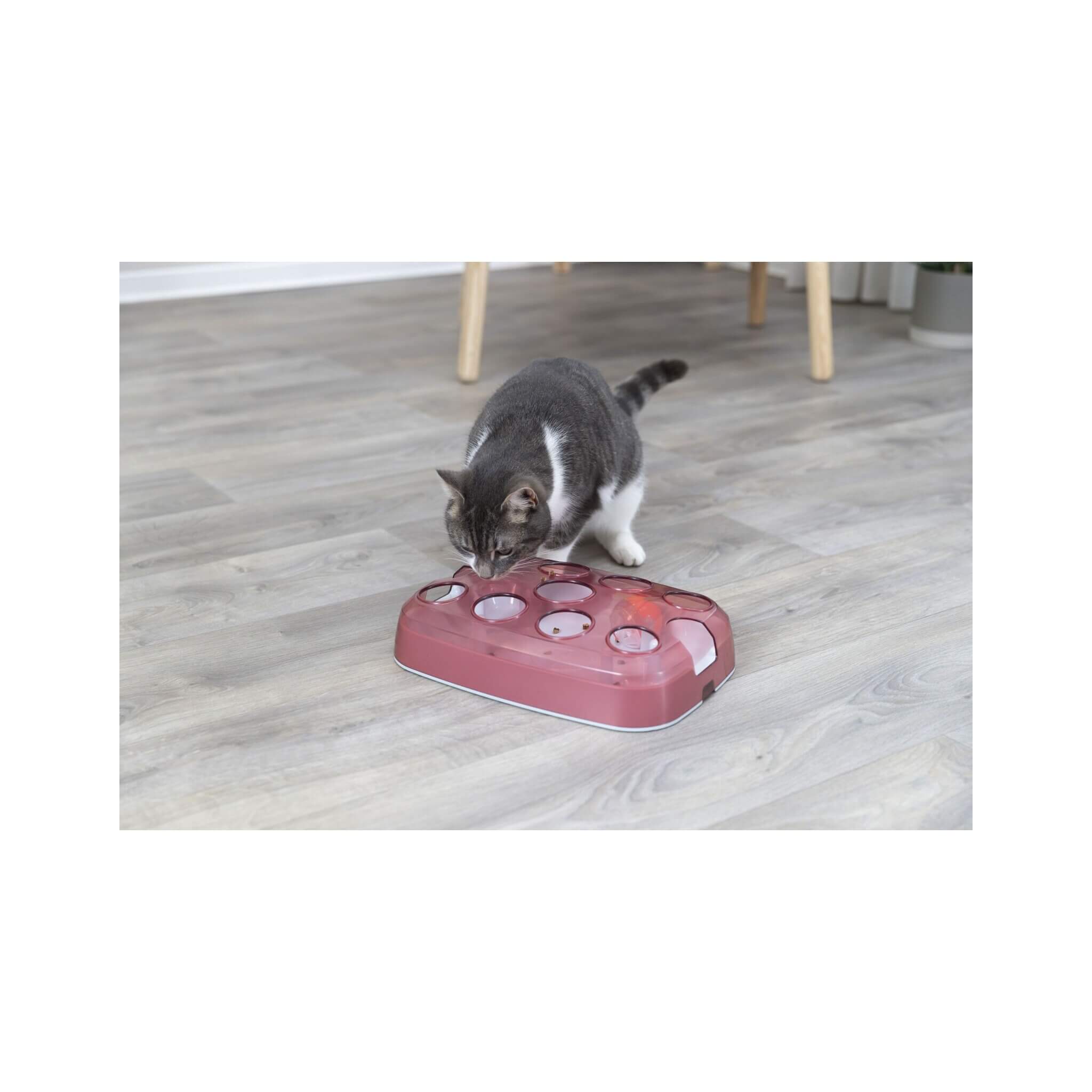 cat-activity-soccer-zabawka-edukacyjna-dla-kota-plastik-33-x-235-cm_4.jpg